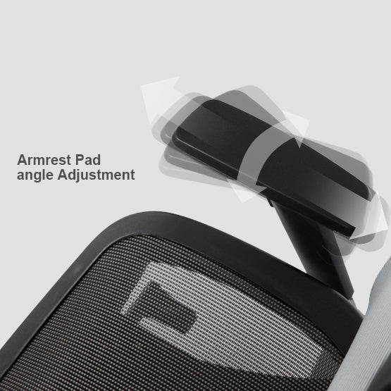 Bravo Ergonomic Computer Chair