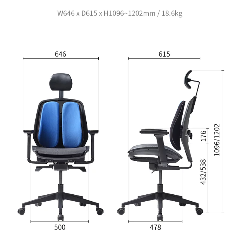 Alpha Renewal Ergonomic Office Chair (Black / White Frame)