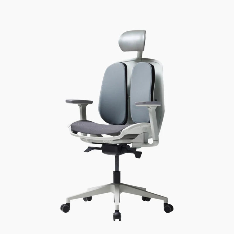 Alpha Renewal Ergonomic Office Chair (Black / White Frame)