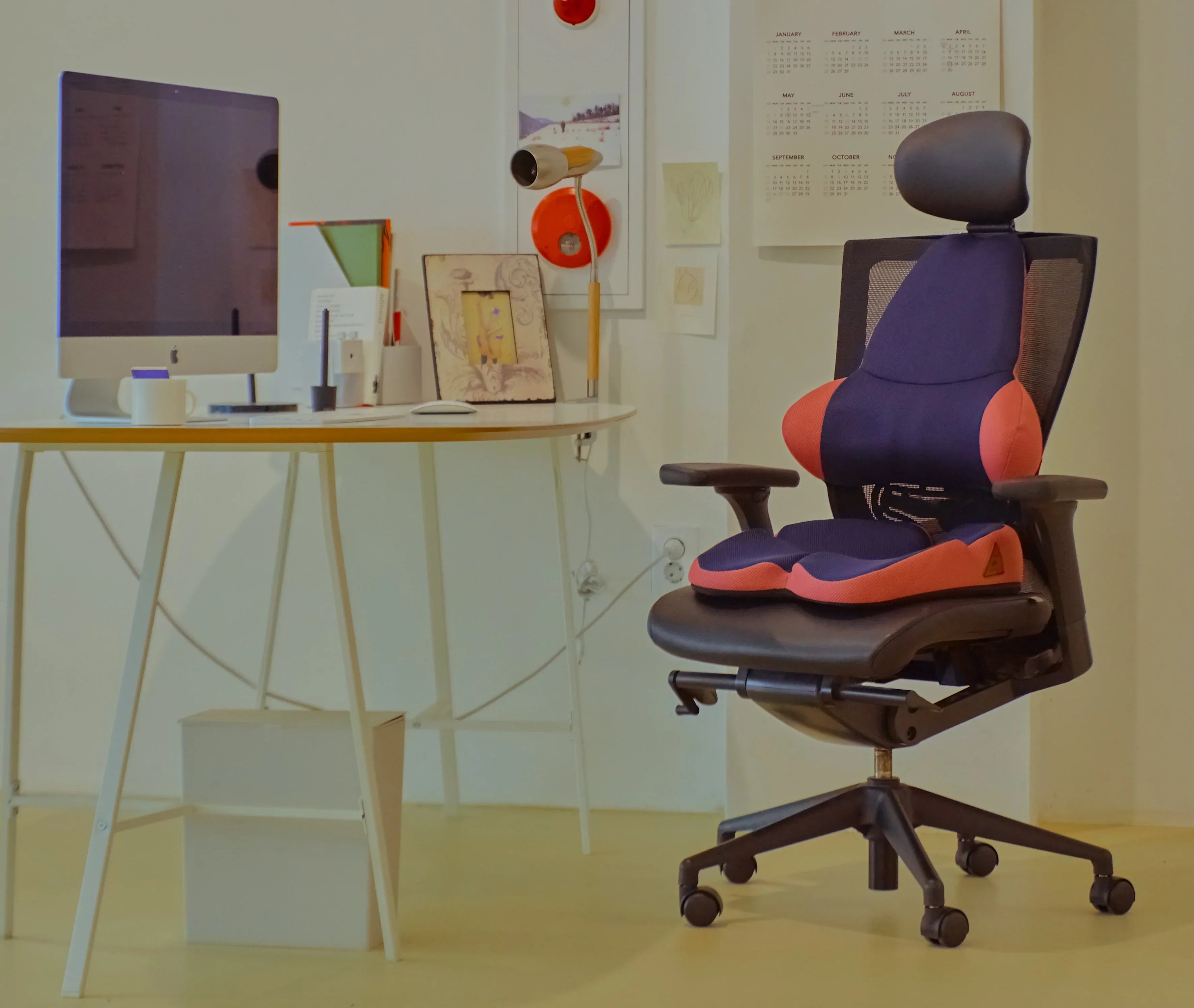 Waist up Professional Backrest