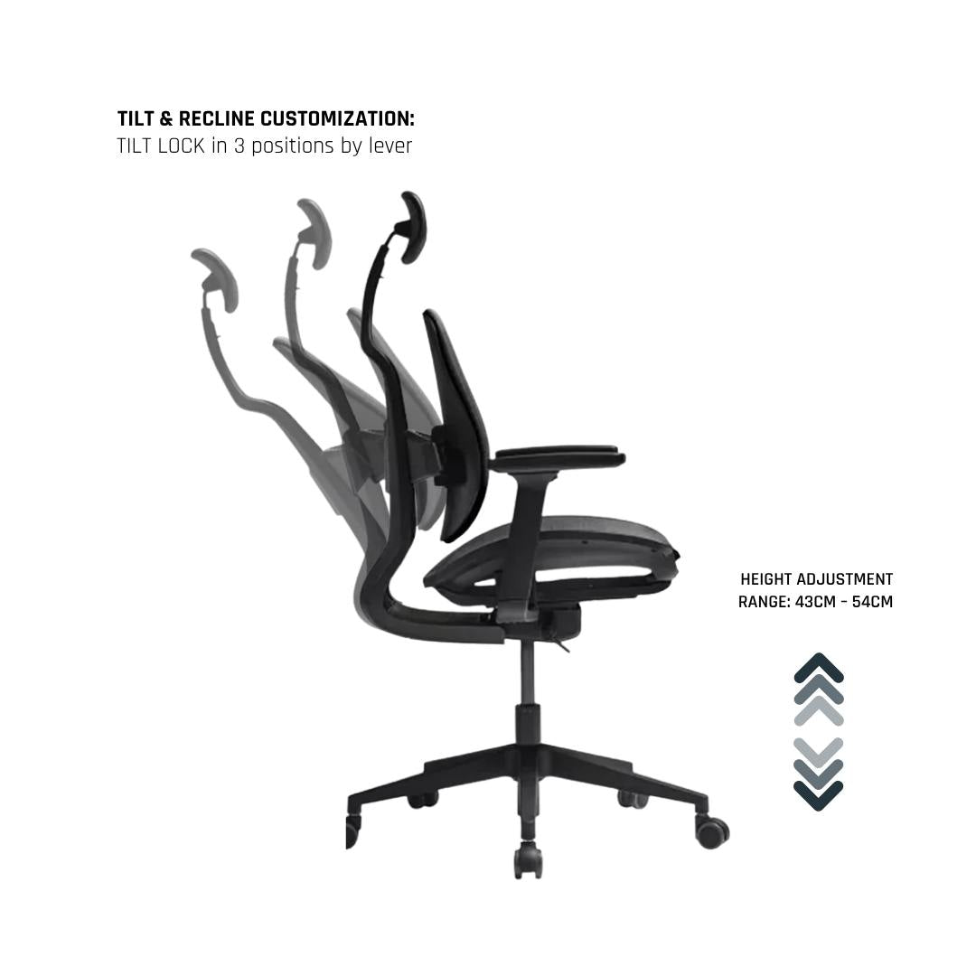 D2 Dual Comfort Chair