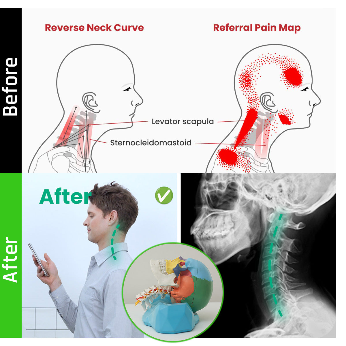 ERGOWORKS - EW-CREST - C-REST ERGO NECK RELIEF PILLOW