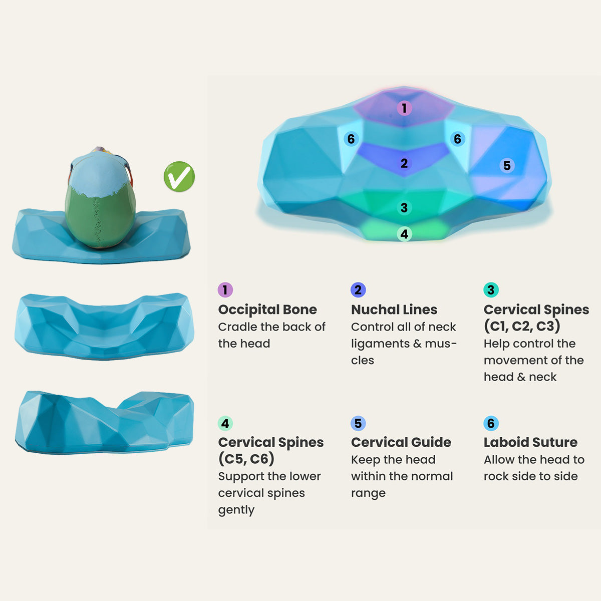 ERGOWORKS - EW-CREST - C-REST ERGO NECK RELIEF PILLOW