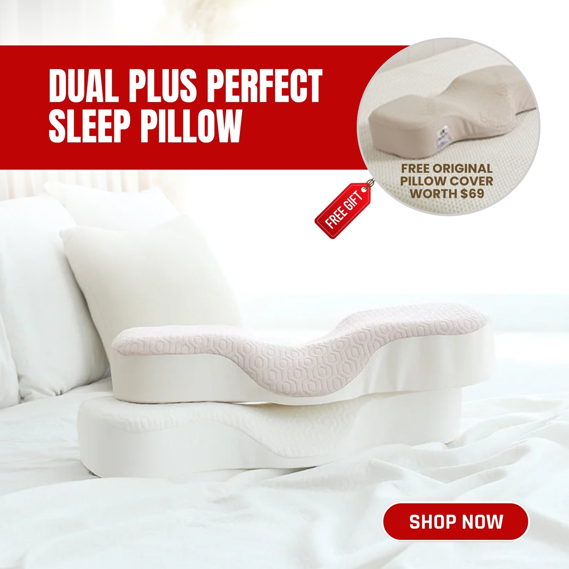 ERGOWORKS - EW-DPP03-WH - Dual Plus Perfect Sleep Pillow