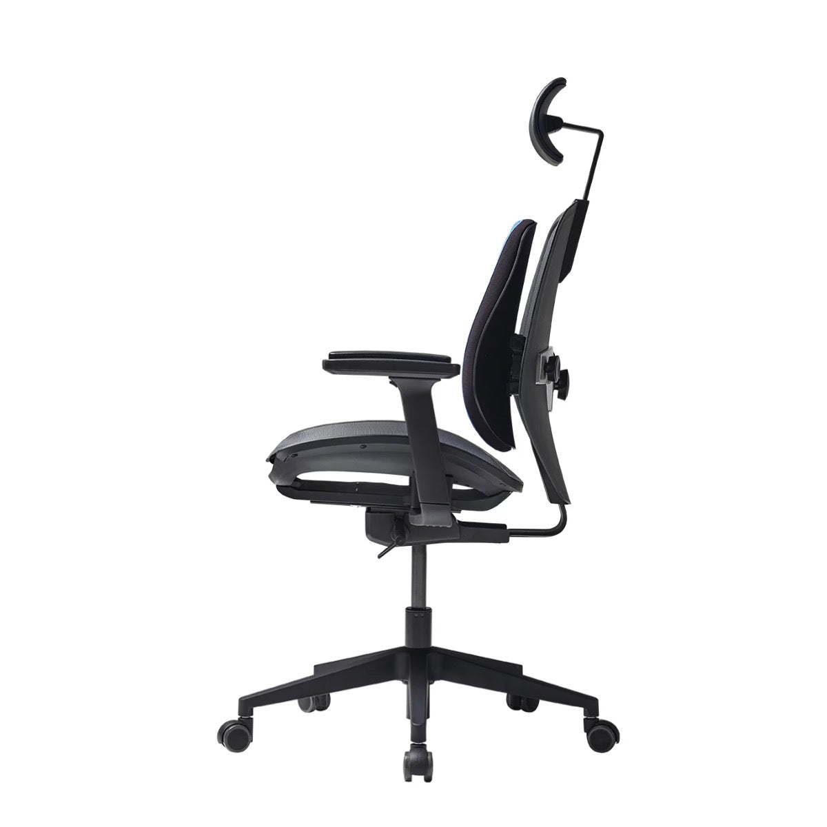Alpha Renewal Ergonomic Office Chair (Black / White Frame)