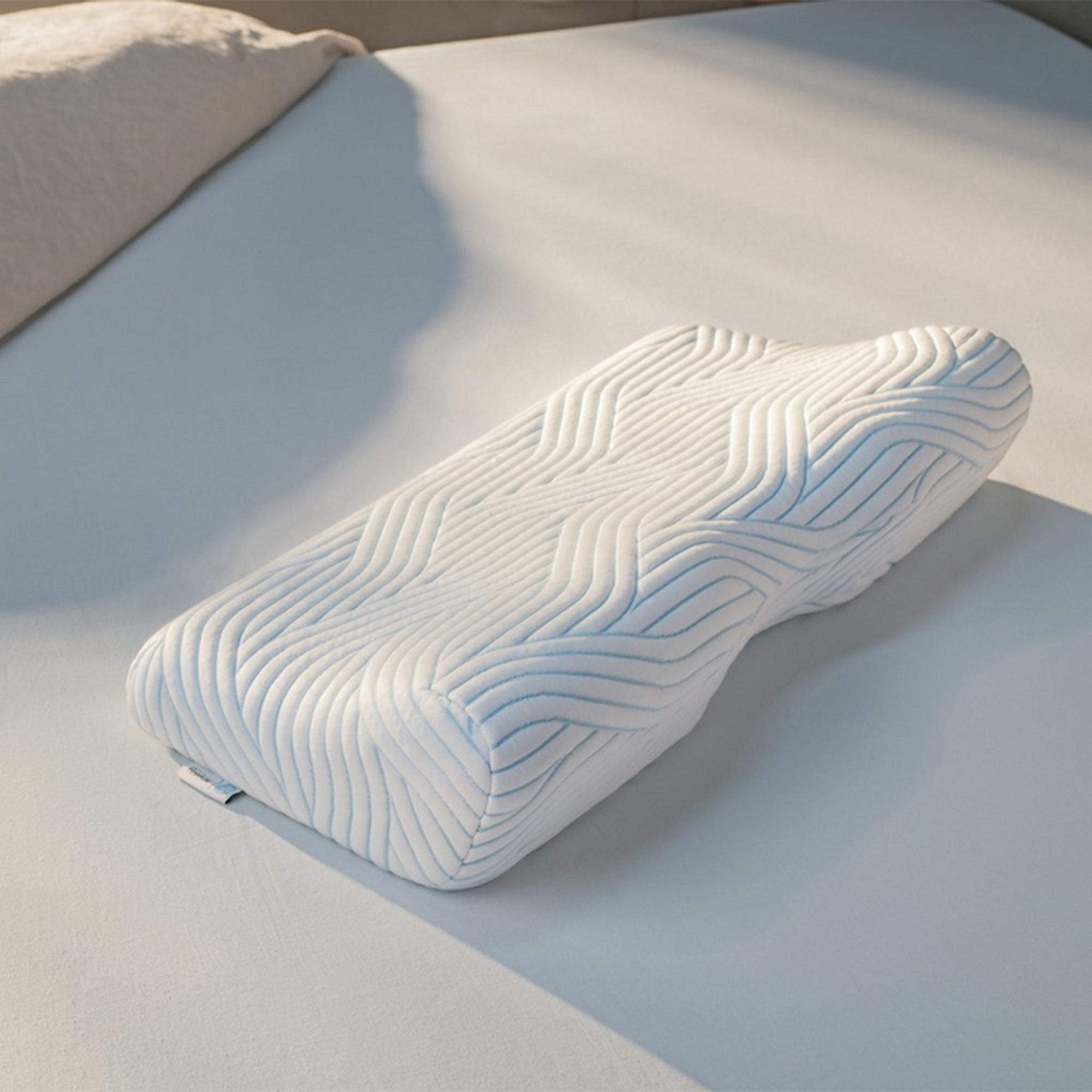 Millennium Pillow