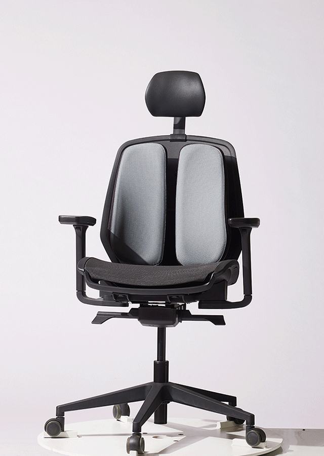 Alpha Renewal Ergonomic Office Chair (Black / White Frame)