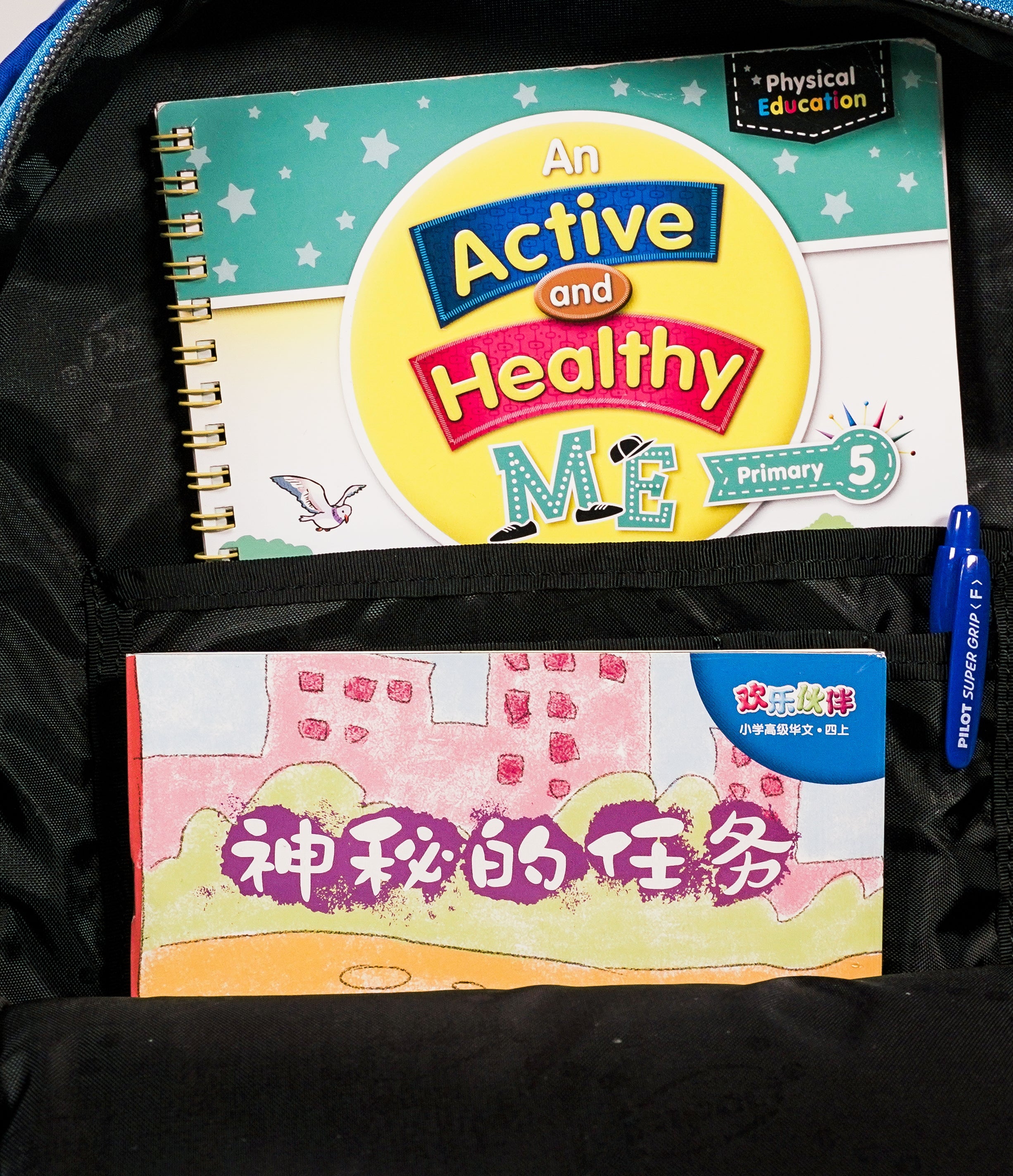 Impact Posture Correction Ergonomic Backpack, IPEG-163