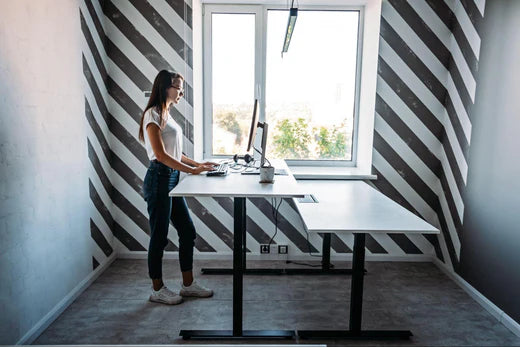 All There is to Know About Adjustable Electric Standing Desks