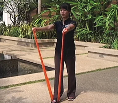 Resistance Band Exercises - Upper and Lower Body