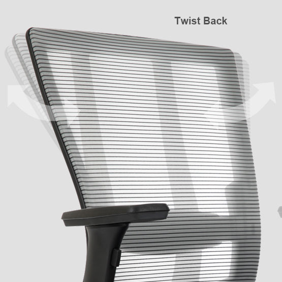 Bravo Ergonomic Computer Chair