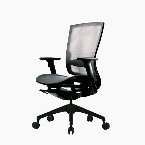 Bravo Ergonomic Computer Chair