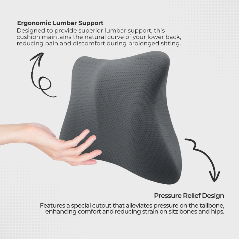 Ergonomic Back Rest Seat Cushion for Backbone Pain Support | Ergoworks