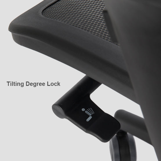 Bravo Ergonomic Computer Chair