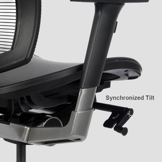 Bravo Ergonomic Computer Chair