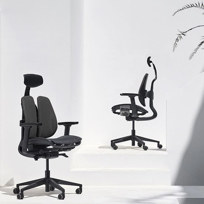 D2 Ergonomic Mesh Office Chair