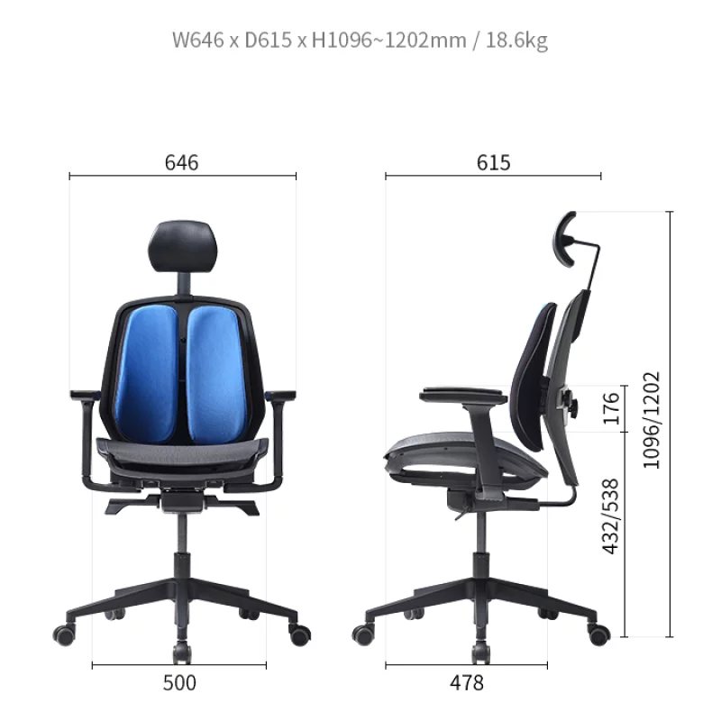 Alpha Renewal Ergonomic Mesh Office Chair