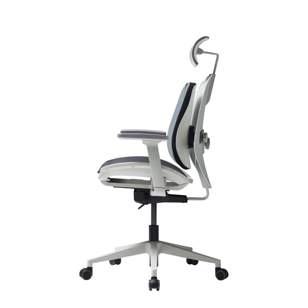 Alpha Renewal Ergonomic Mesh Office Chair