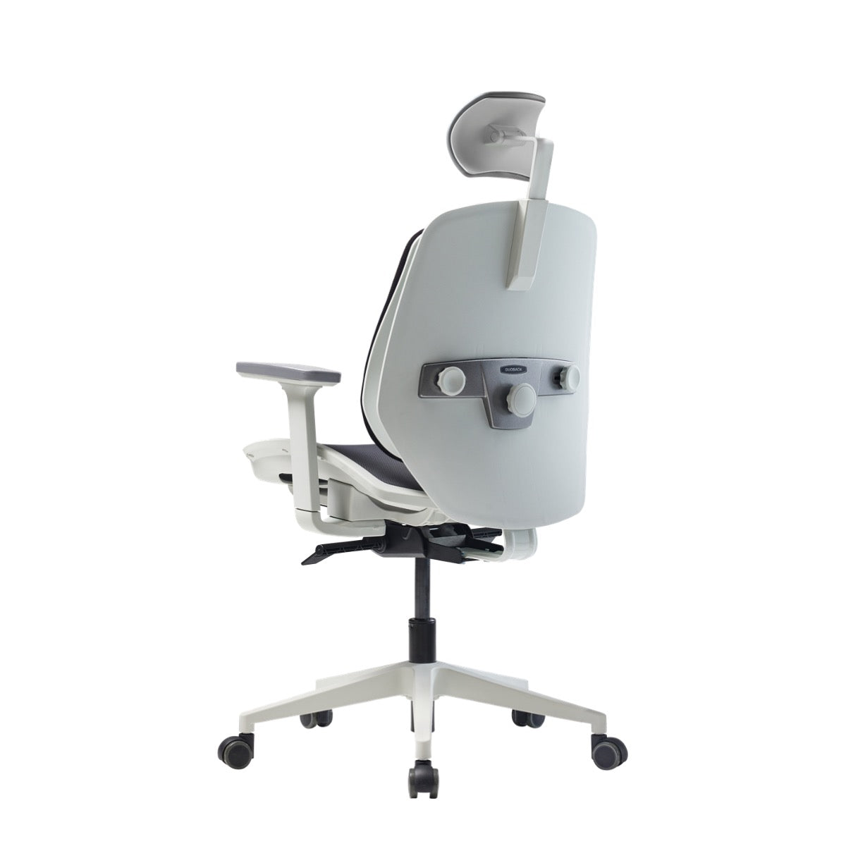 Alpha Renewal Ergonomic Mesh Office Chair