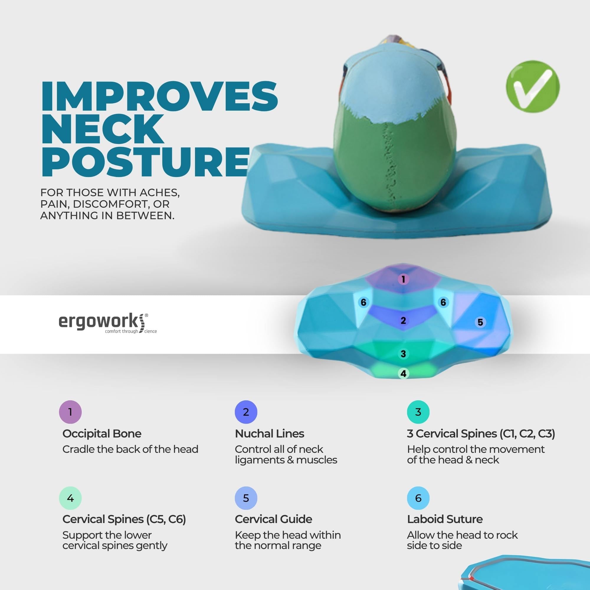 ERGOWORKS - EW-CREST - C-REST ERGO NECK RELIEF PILLOW