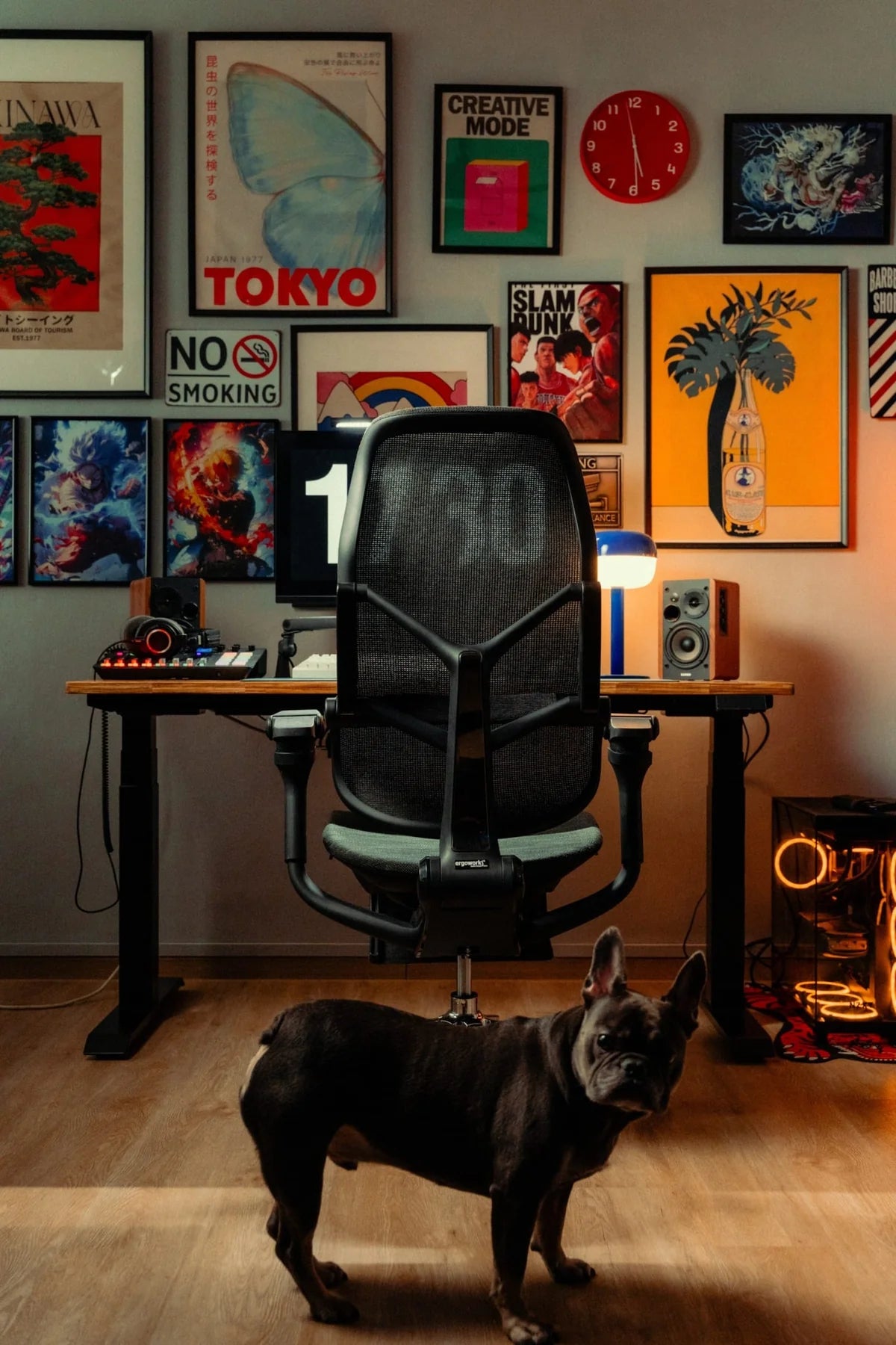 Ergonomic Chairs