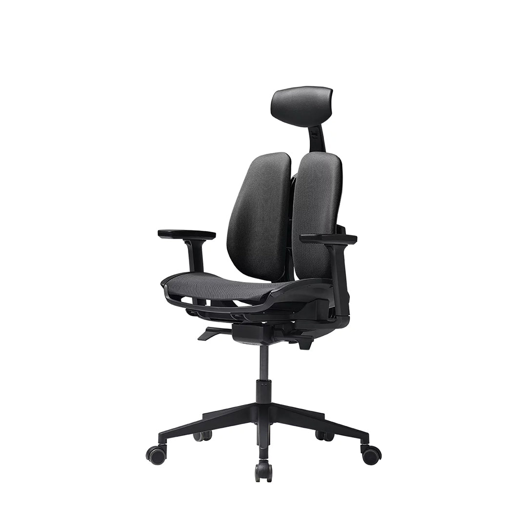 D2 Ergonomic Mesh Office Chair