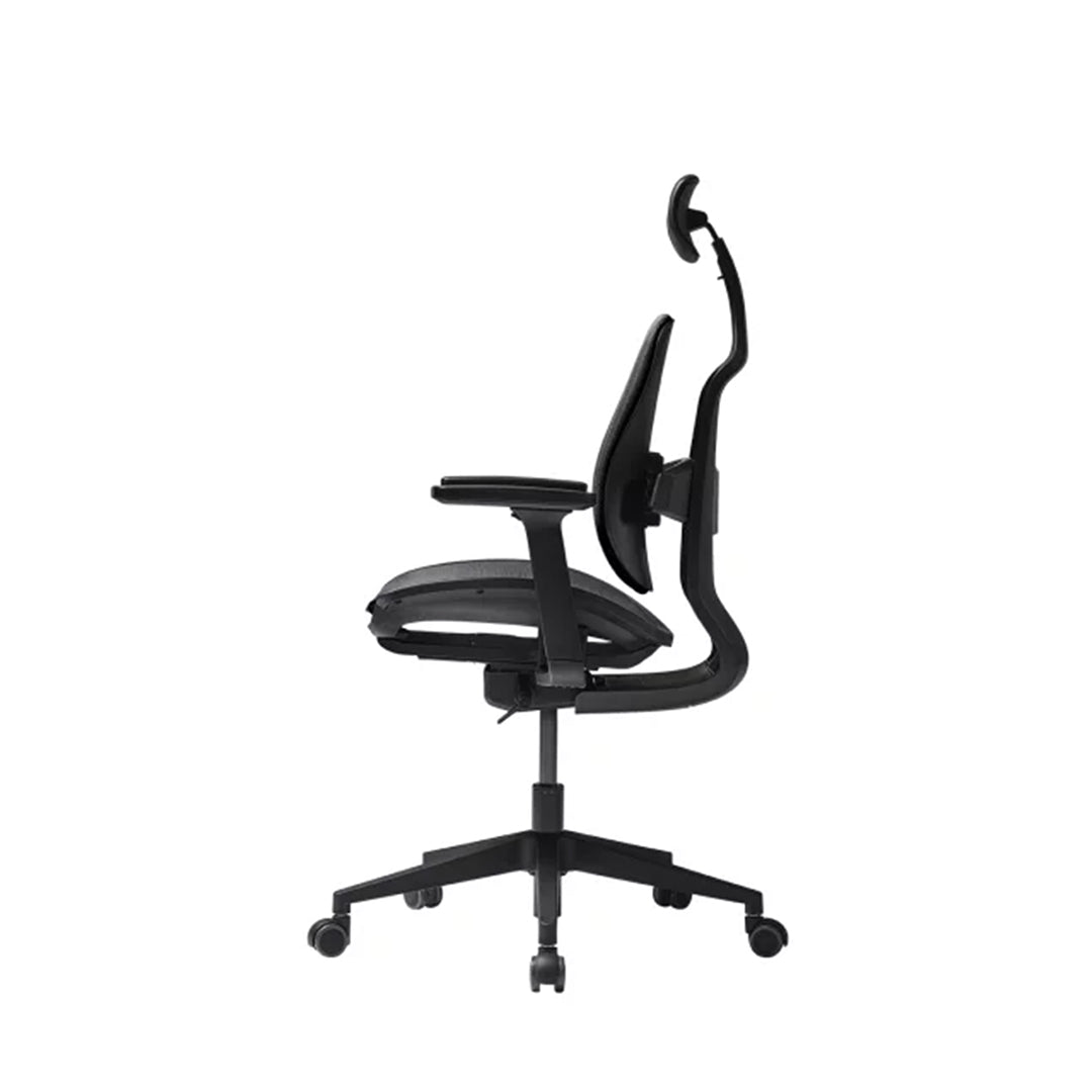 D2 Ergonomic Mesh Office Chair