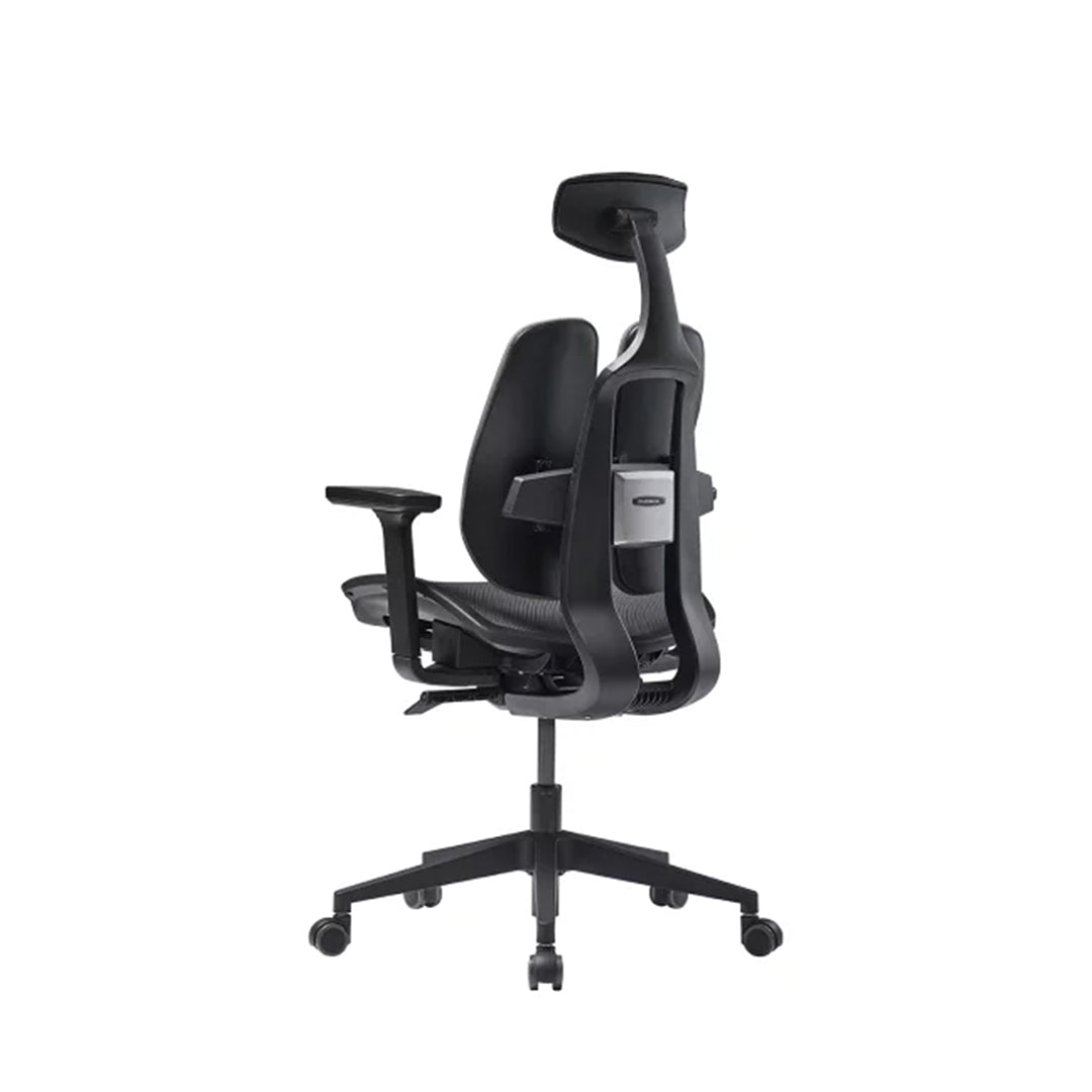 D2 Ergonomic Mesh Office Chair