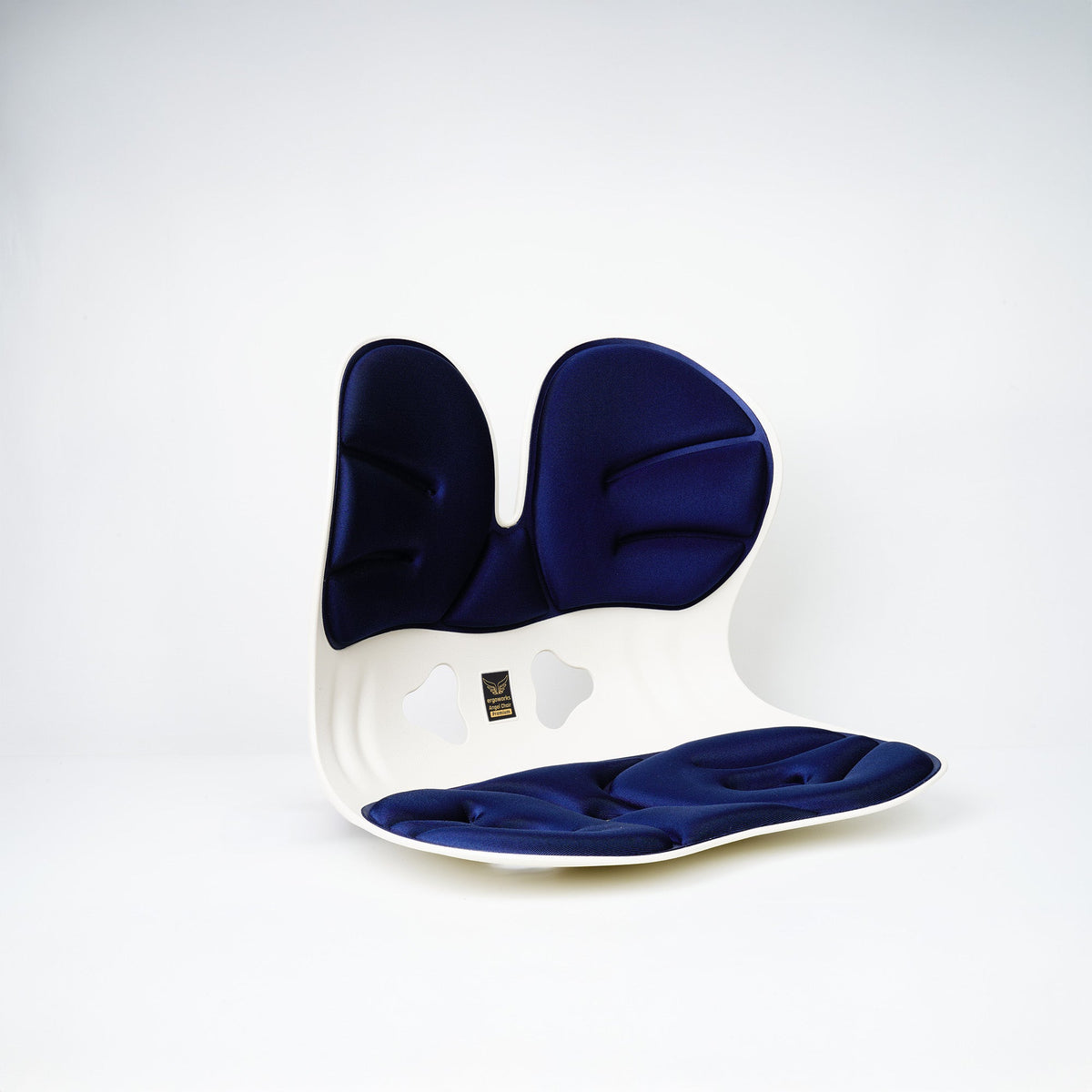 Ergonomic Back Rest Seat Cushion for Backbone Pain Support | Ergoworks