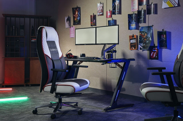 Pro Gamer Ergonomic Gaming Chair