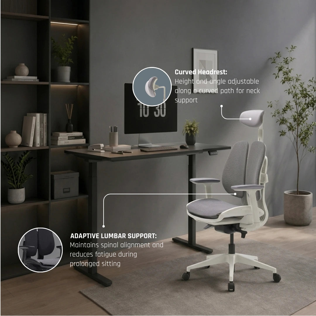 D2 DX2 Ergonomic Office Chair - Breathable Mesh | Ergoworks