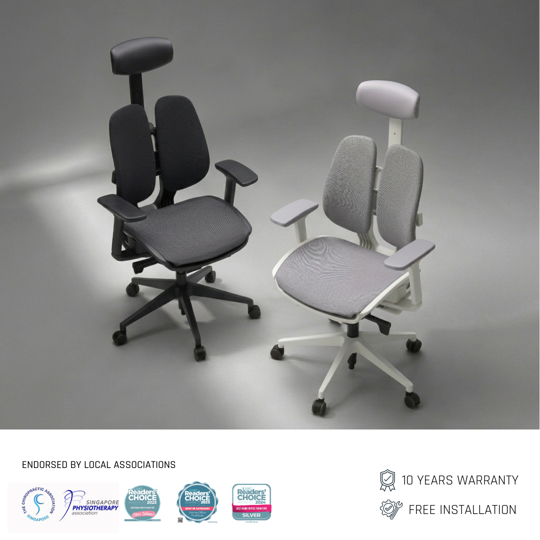D2 DX2 Ergonomic Office Chair - Breathable Mesh | Ergoworks