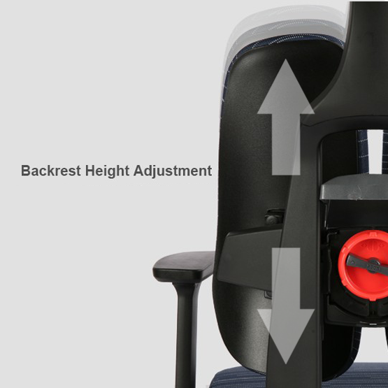 Duotex Office Ergonomic Chair