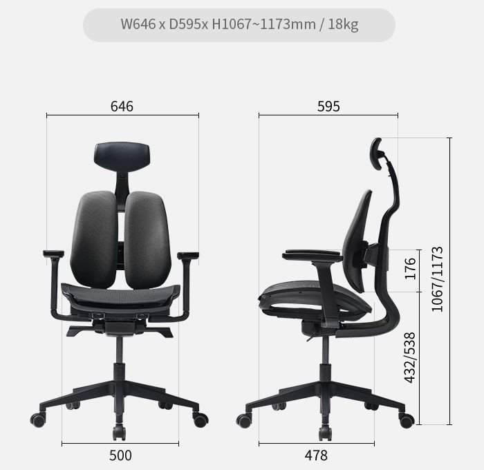 D2 Ergonomic Mesh Office Chair