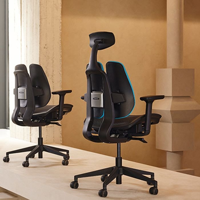 D2 Ergonomic Mesh Office Chair