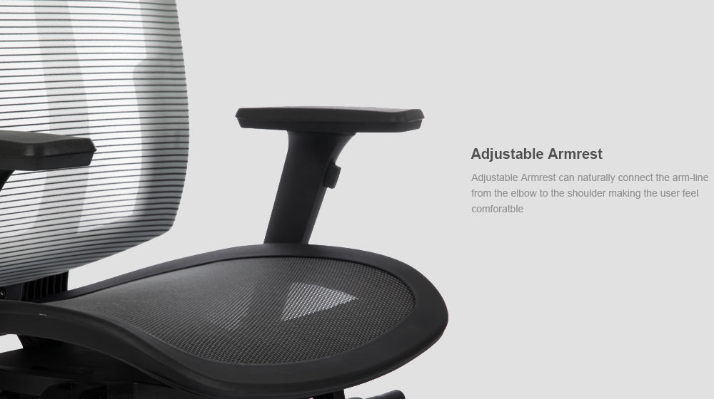 Bravo Ergonomic Computer Chair