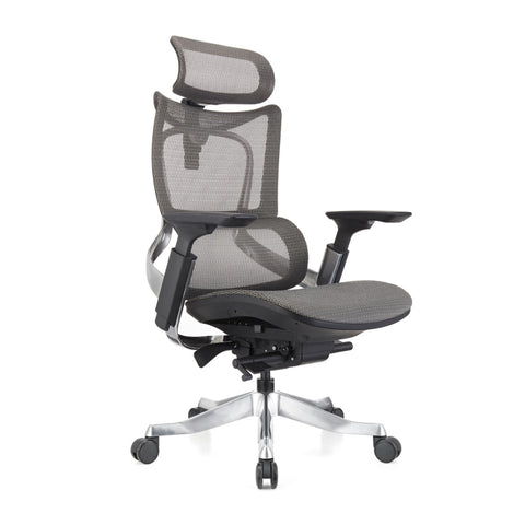ERGOWORKS – Truly Perfect Chair - EW-G881